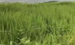 抖阴新片！【百度云泄密】多位反差女友被曝光❤️20位位良家美女出镜(12)