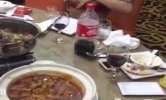 高gao颜值奶韵味少妇，奶发骚，餐馆里喷奶在杯子里，这也是一个虎娘们，母爱泛滥，见人就喂奶！