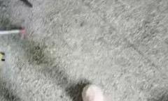 电子厂上班的成熟姐姐，塞着跳蛋在车间淫惑、点焊着元件，骚逼却震得很爽、工作都心不在焉！