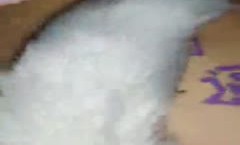 双马尾萌妹mei子跪着玩弄第官网三部 屁股上写字肛塞插菊花跳蛋震动来姨妈了 很是诱惑喜欢不要错过