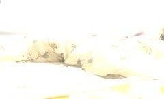 颜值不错大奶妹mei子抖阴新片！【香蕉妹mei妹mei】道具自[zi]慰性感网袜，舔tian假屌跳蛋塞入拉扯非常诱人，很是诱惑喜欢不要错过