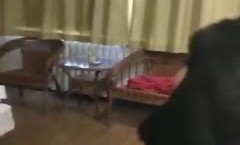 酒jiu店捉奸现场，和平谈判呵XXX🅳🅾🆄🆈🅸🅽女的还颜值ok 骨感类型 看脸蛋就是个骚娘们！
