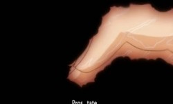 キニイッタチツニイキナリナカダシOKなリゾートとう2-KiniittaChitsuniIkinariNakadashiOKnaResort-tou2